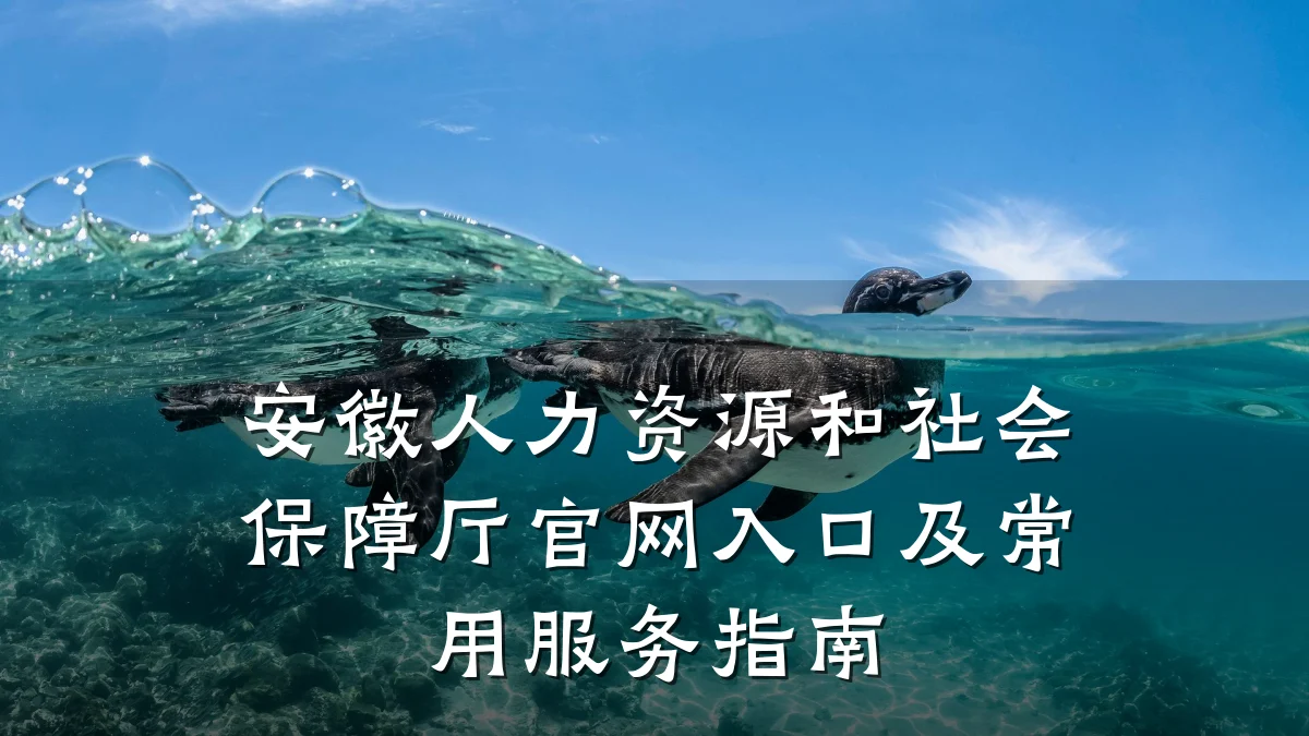 安徽人力资源和社会保障厅官网入口及常用服务指南