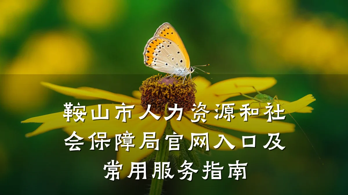 鞍山市人力资源和社会保障局官网入口及常用服务指南