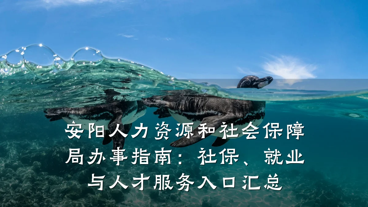 安阳人力资源和社会保障局办事指南:社保、就业与人才服务入口汇总