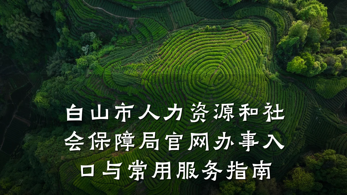 白山市人力资源和社会保障局官网办事入口与常用服务指南