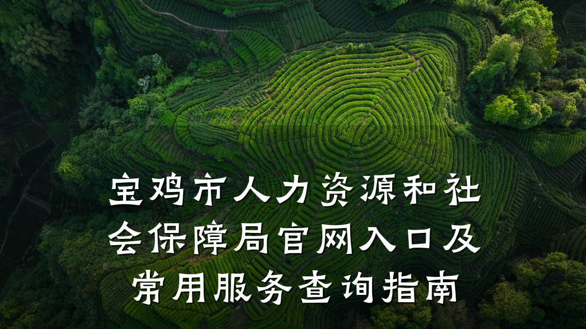 宝鸡市人力资源和社会保障局官网入口及常用服务查询指南
