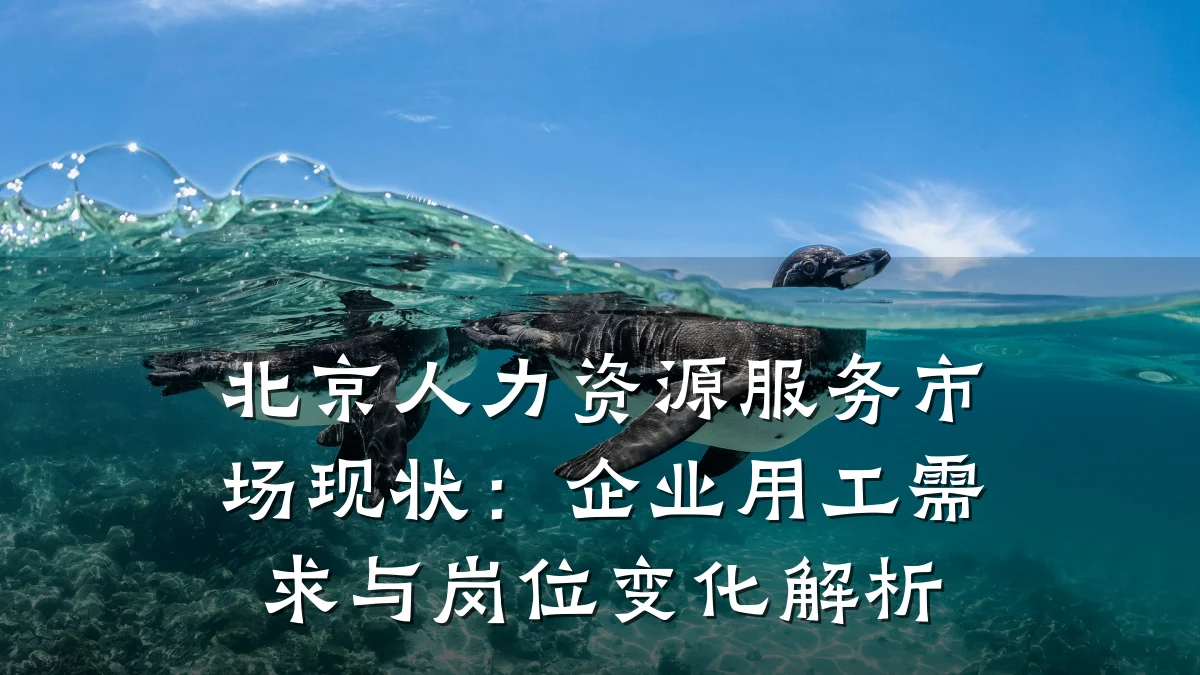 北京人力资源服务市场现状:企业用工需求与岗位变化解析
