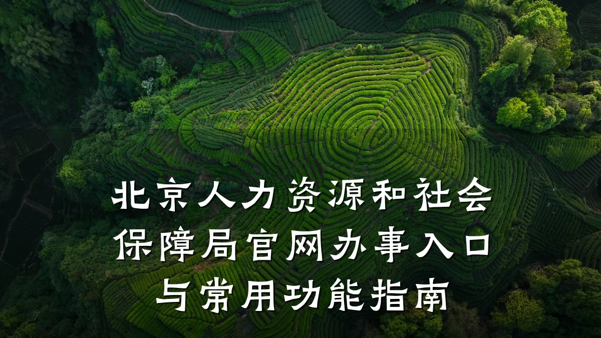 北京人力资源和社会保障局官网办事入口与常用功能指南