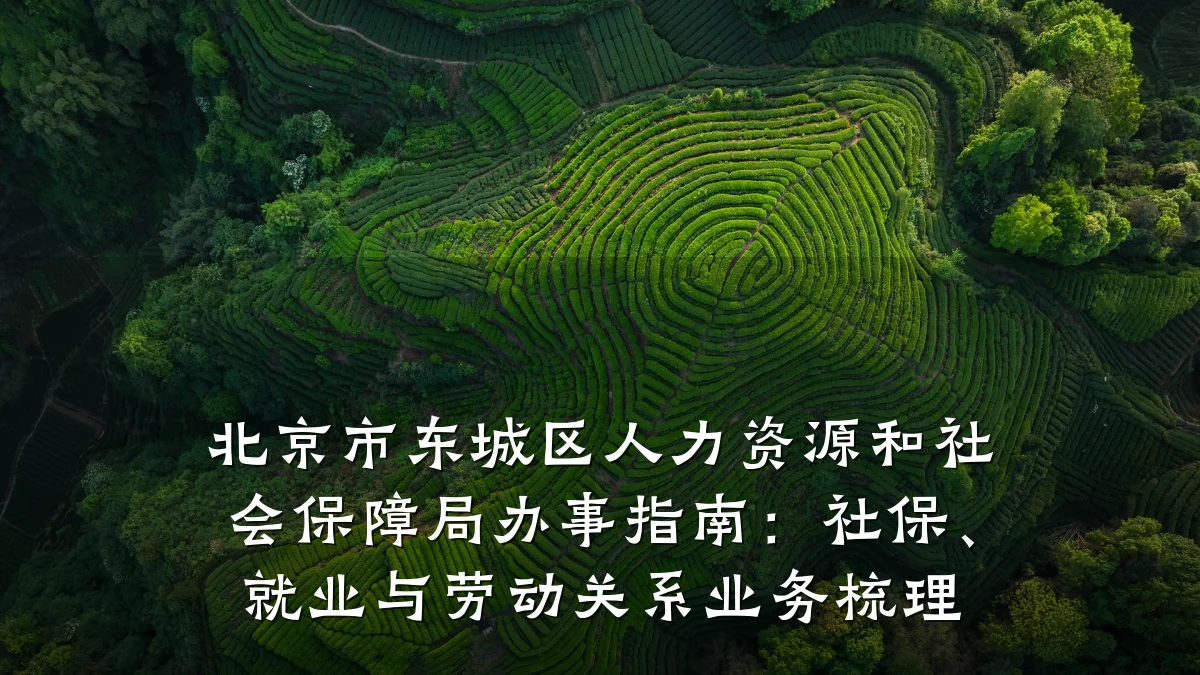 北京市东城区人力资源和社会保障局办事指南:社保、就业与劳动关系业务梳理