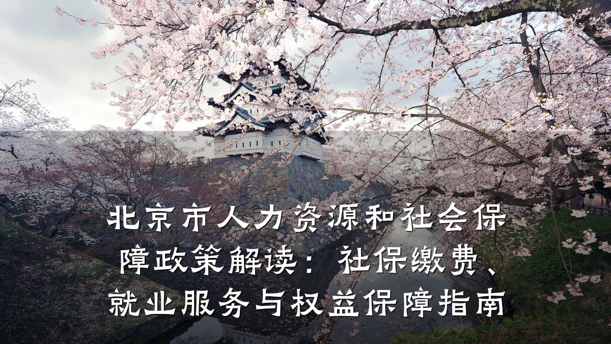 北京市人力资源和社会保障政策解读:社保缴费、就业服务与权益保障指南