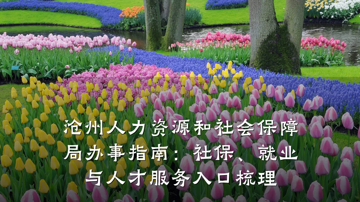 沧州人力资源和社会保障局办事指南:社保、就业与人才服务入口梳理