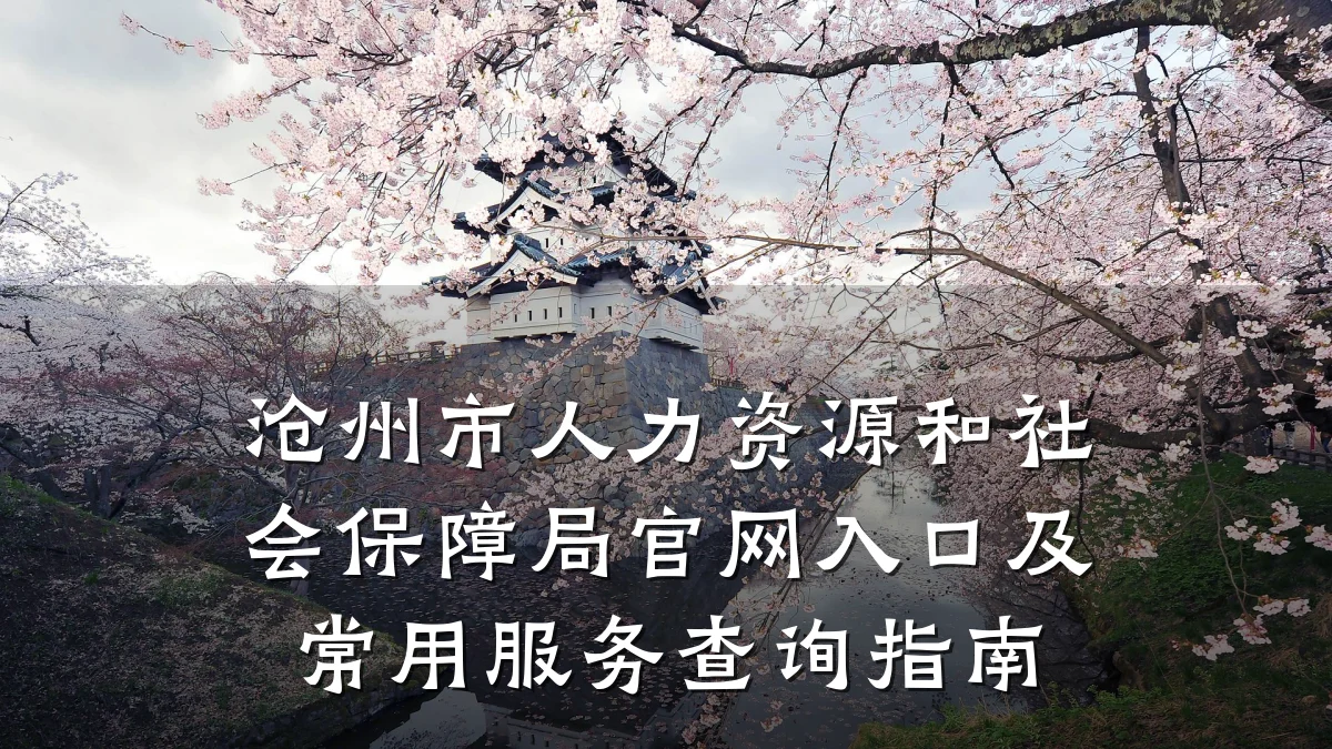 沧州市人力资源和社会保障局官网入口及常用服务查询指南