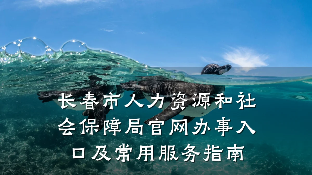 长春市人力资源和社会保障局官网办事入口及常用服务指南