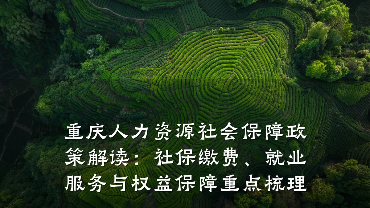重庆人力资源社会保障政策解读:社保缴费、就业服务与权益保障重点梳理