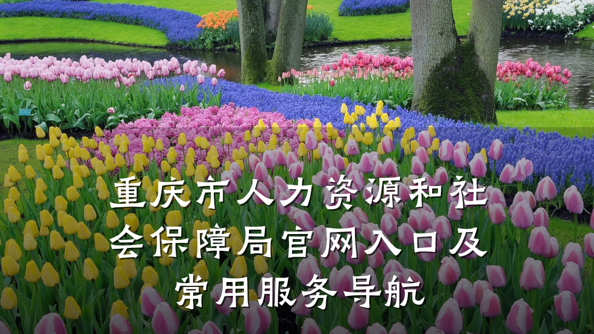 重庆市人力资源和社会保障局官网入口及常用服务导航