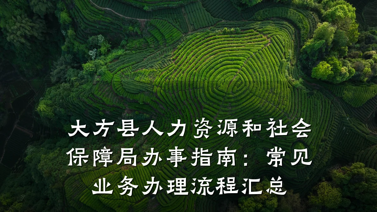 大方县人力资源和社会保障局办事指南:常见业务办理流程汇总