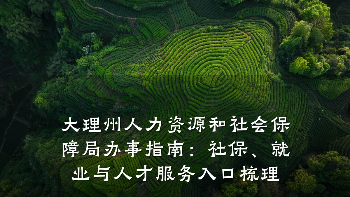 大理州人力资源和社会保障局办事指南:社保、就业与人才服务入口梳理