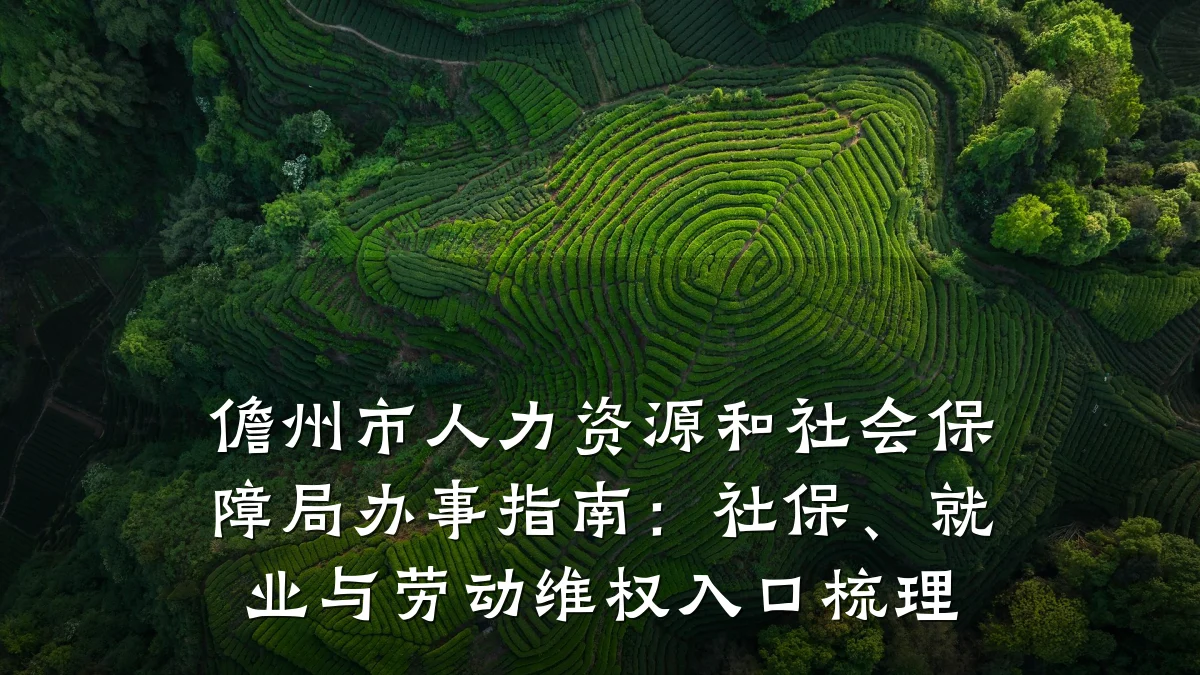 儋州市人力资源和社会保障局办事指南:社保、就业与劳动维权入口梳理