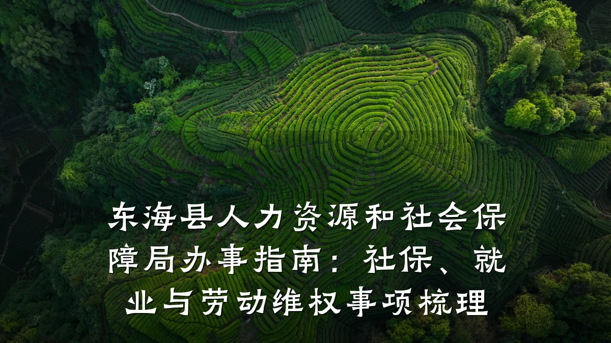东海县人力资源和社会保障局办事指南:社保、就业与劳动维权事项梳理
