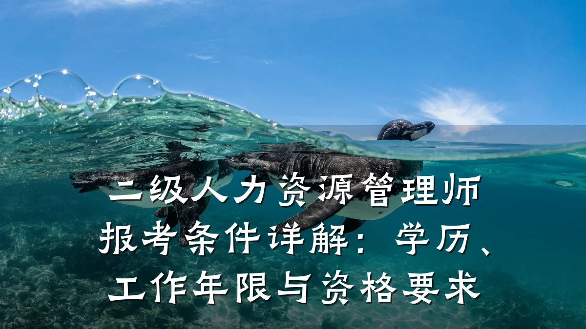 二级人力资源管理师报考条件详解:学历、工作年限与资格要求