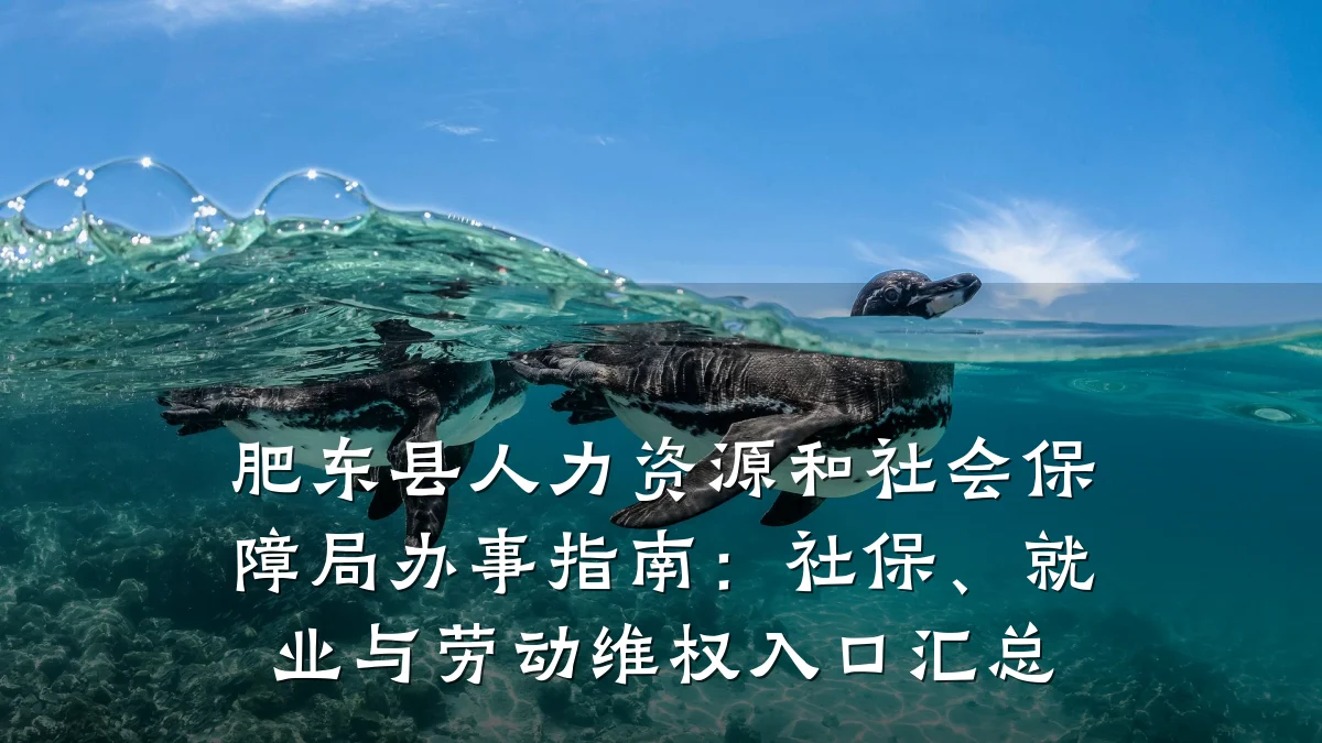 肥东县人力资源和社会保障局办事指南:社保、就业与劳动维权入口汇总