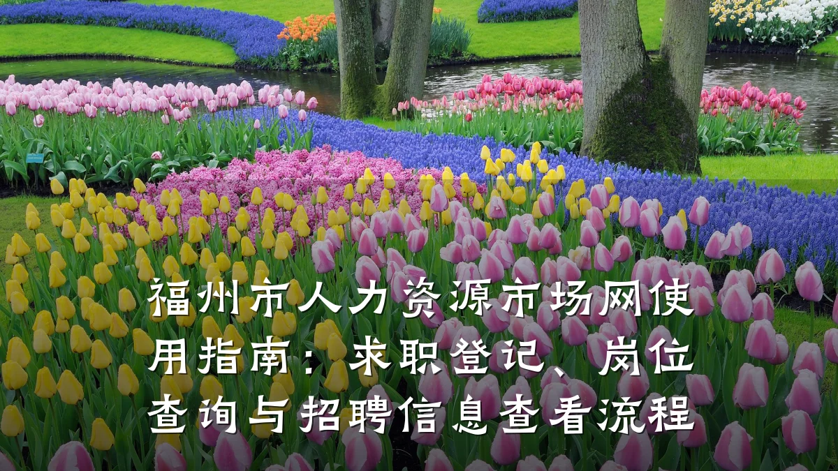 福州市人力资源市场网使用指南:求职登记、岗位查询与招聘信息查看流程