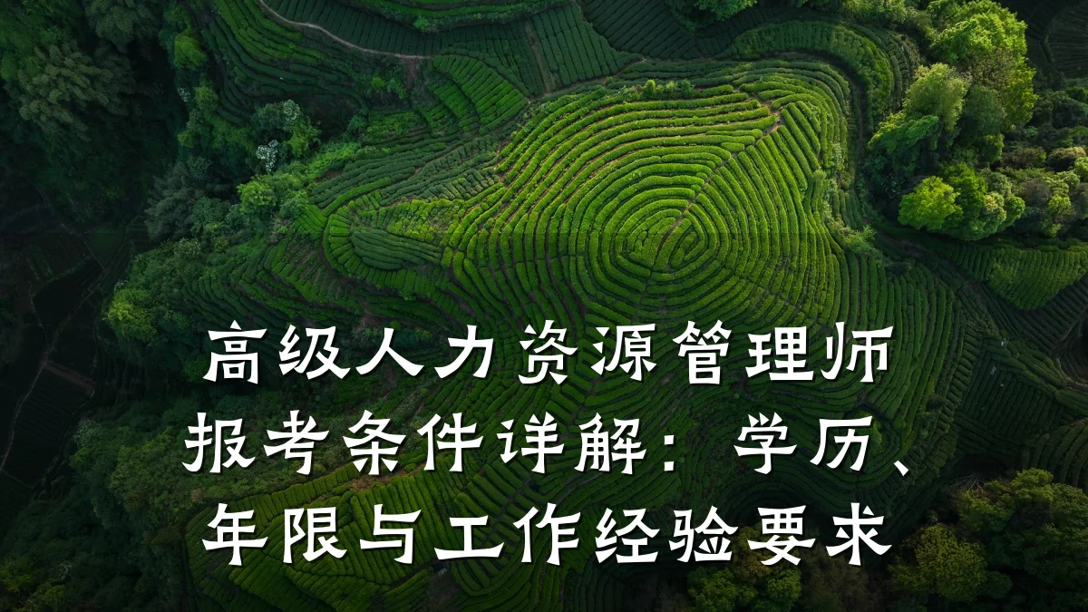 高级人力资源管理师报考条件详解:学历、年限与工作经验要求