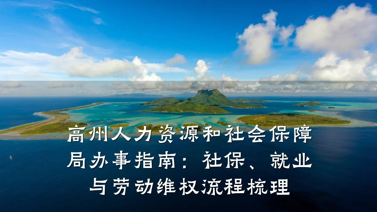 高州人力资源和社会保障局办事指南:社保、就业与劳动维权流程梳理