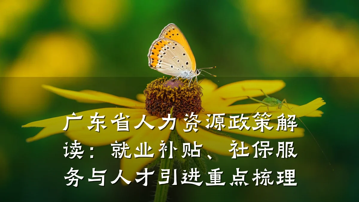 广东省人力资源政策解读:就业补贴、社保服务与人才引进重点梳理