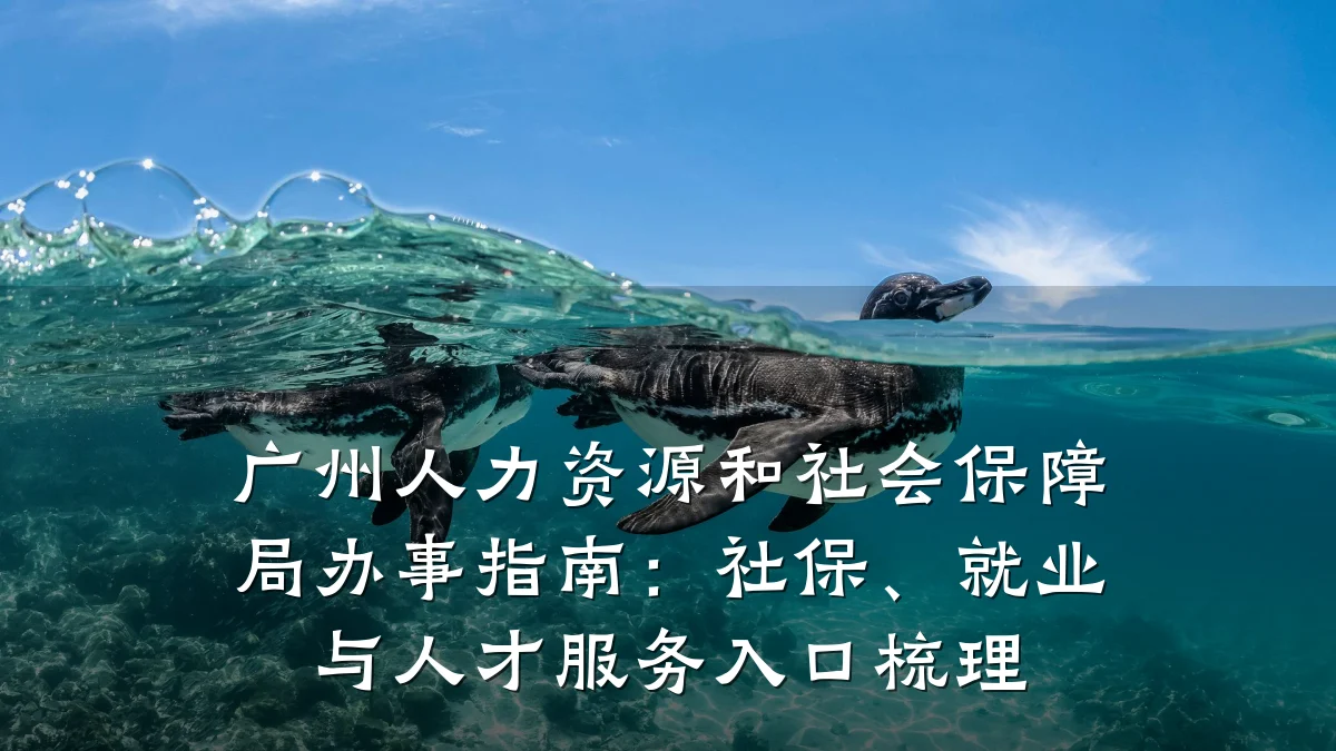 广州人力资源和社会保障局办事指南:社保、就业与人才服务入口梳理