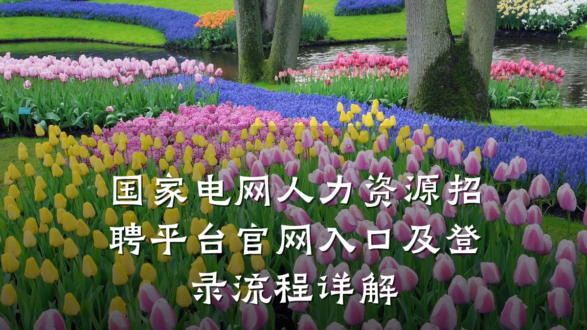 国家电网人力资源招聘平台官网入口及登录流程详解