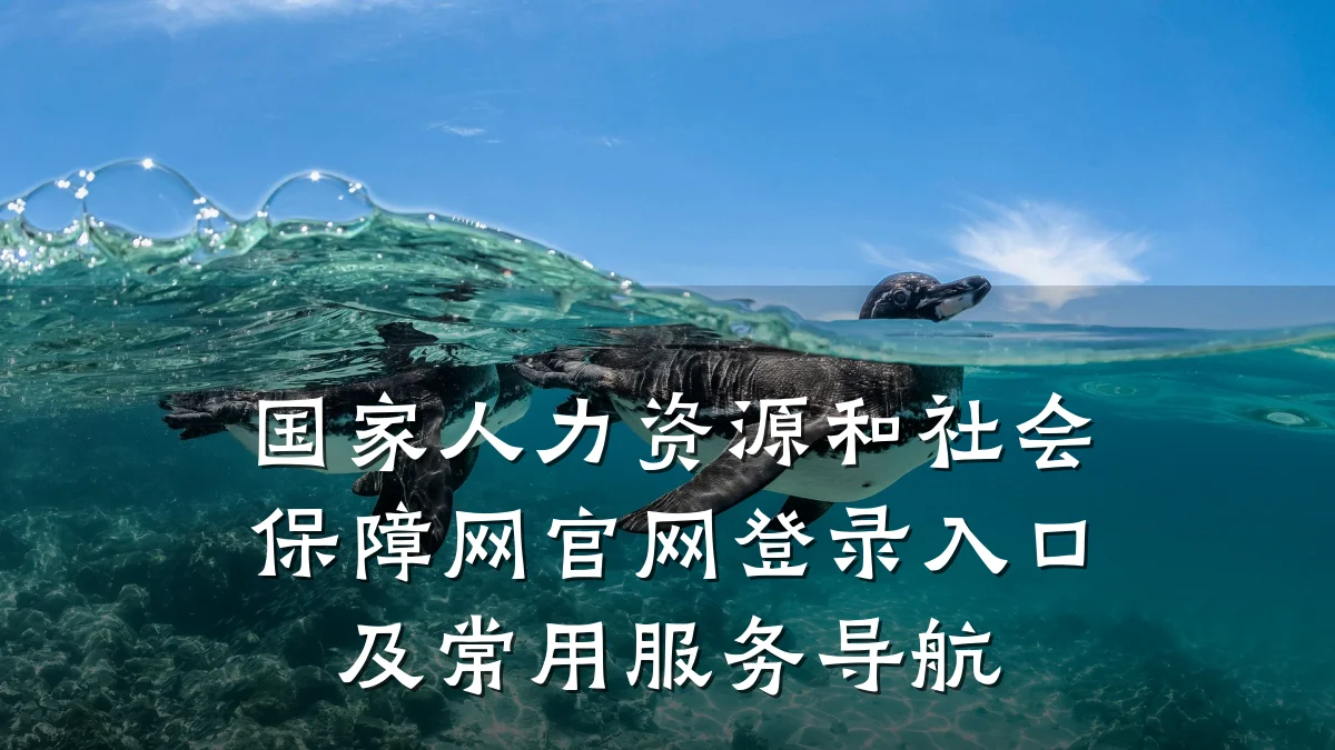 国家人力资源和社会保障网官网登录入口及常用服务导航