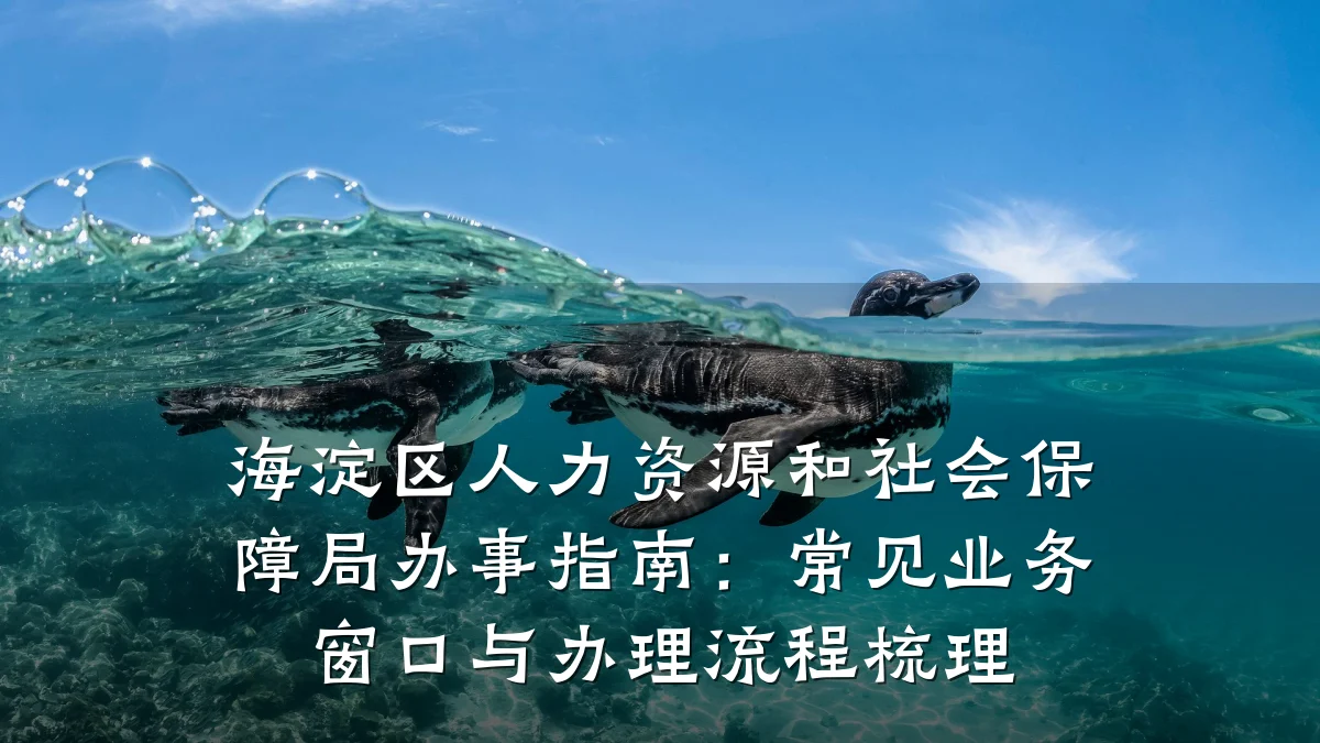 海淀区人力资源和社会保障局办事指南:常见业务窗口与办理流程梳理