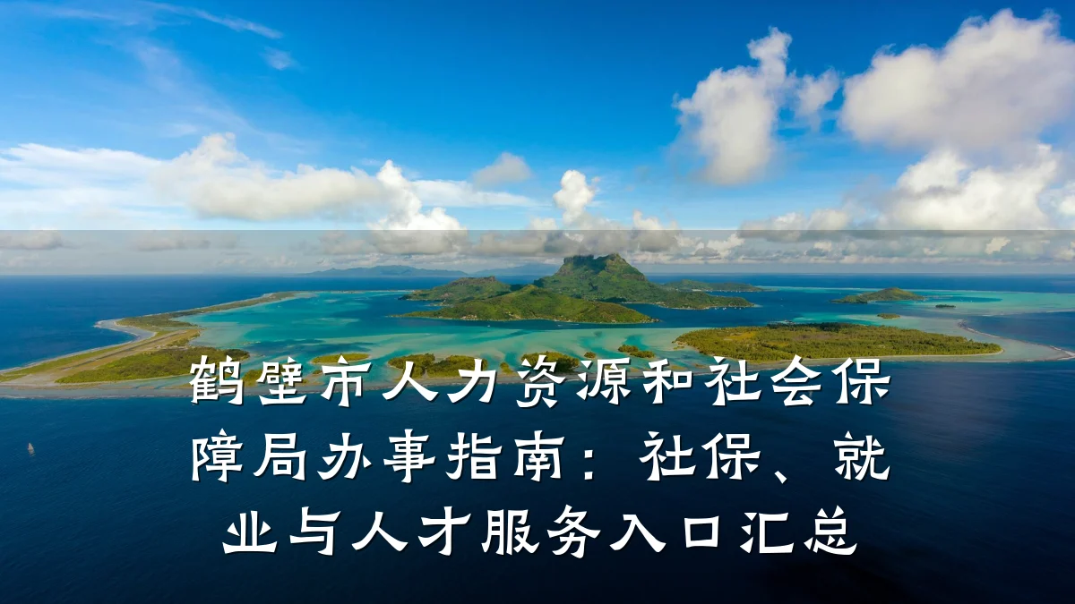 鹤壁市人力资源和社会保障局办事指南:社保、就业与人才服务入口汇总