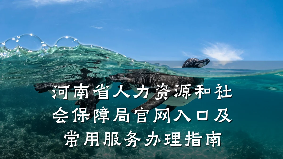 河南省人力资源和社会保障局官网入口及常用服务办理指南