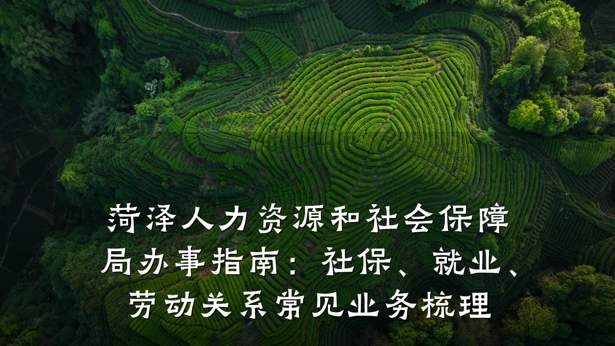 菏泽人力资源和社会保障局办事指南:社保、就业、劳动关系常见业务梳理