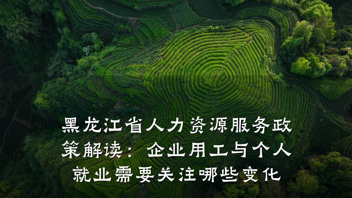 黑龙江省人力资源服务政策解读:企业用工与个人就业需要关注哪些变化