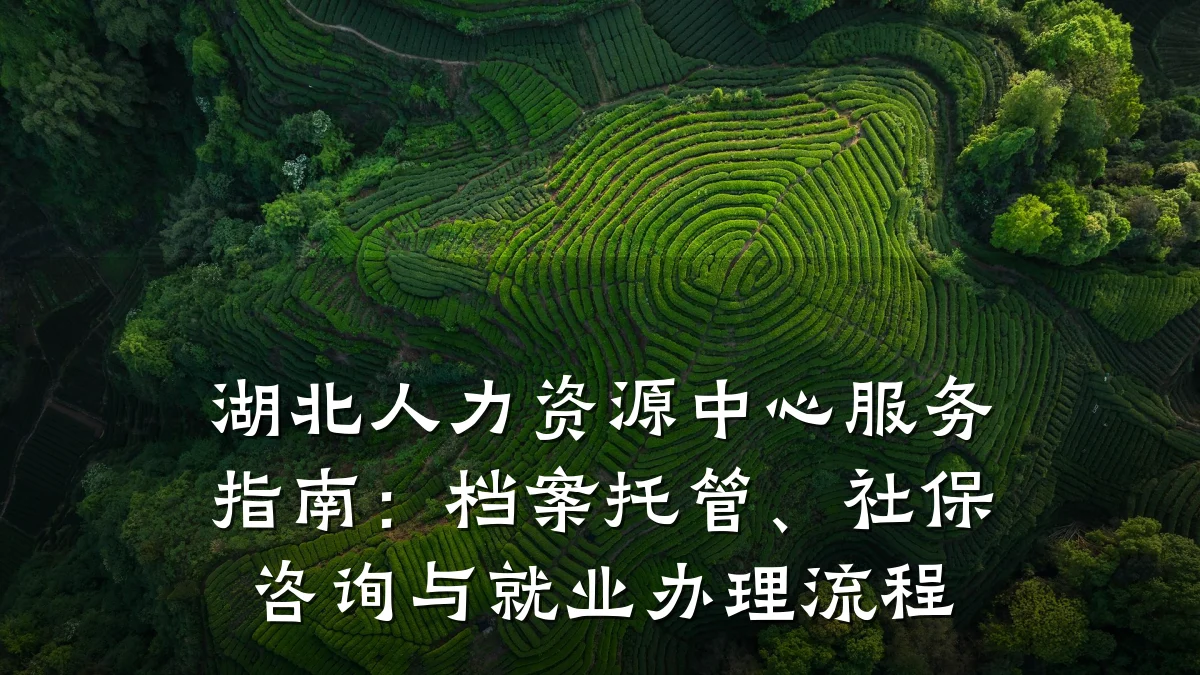 湖北人力资源中心服务指南:档案托管、社保咨询与就业办理流程