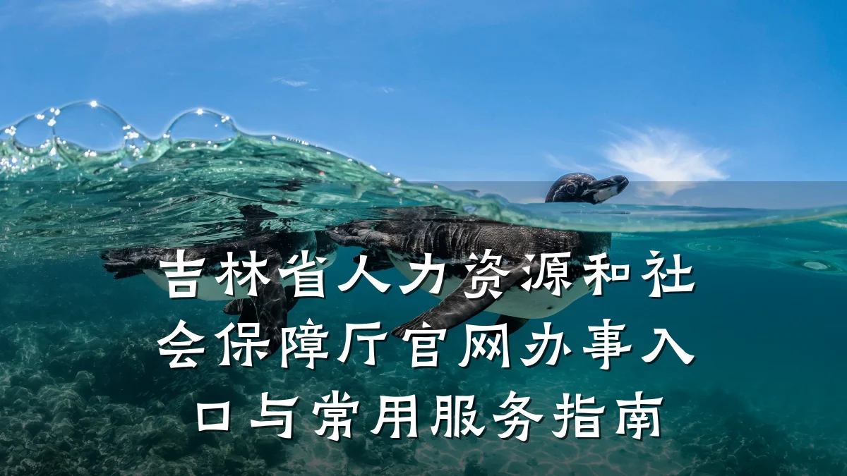吉林省人力资源和社会保障厅官网办事入口与常用服务指南
