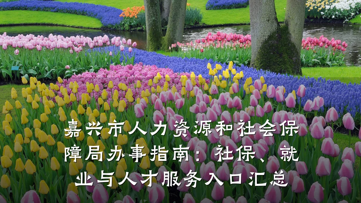 嘉兴市人力资源和社会保障局办事指南:社保、就业与人才服务入口汇总