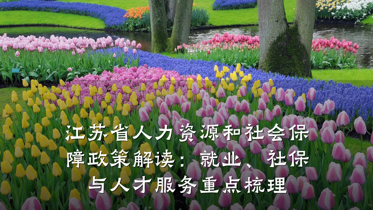 江苏省人力资源和社会保障政策解读:就业、社保与人才服务重点梳理