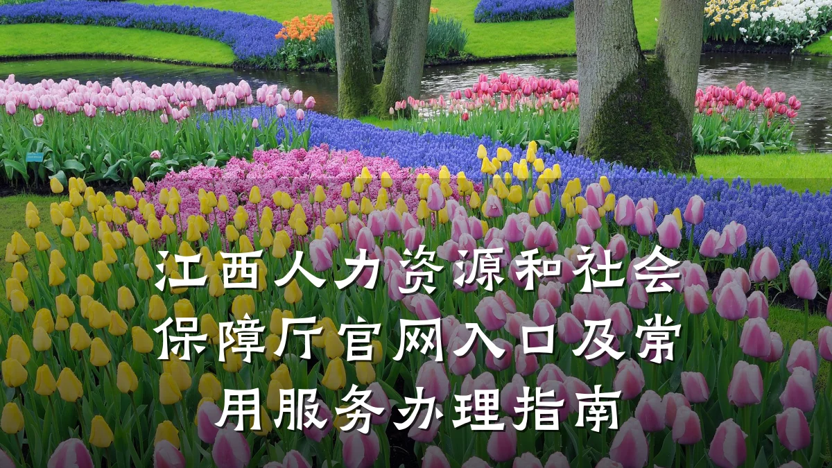 江西人力资源和社会保障厅官网入口及常用服务办理指南