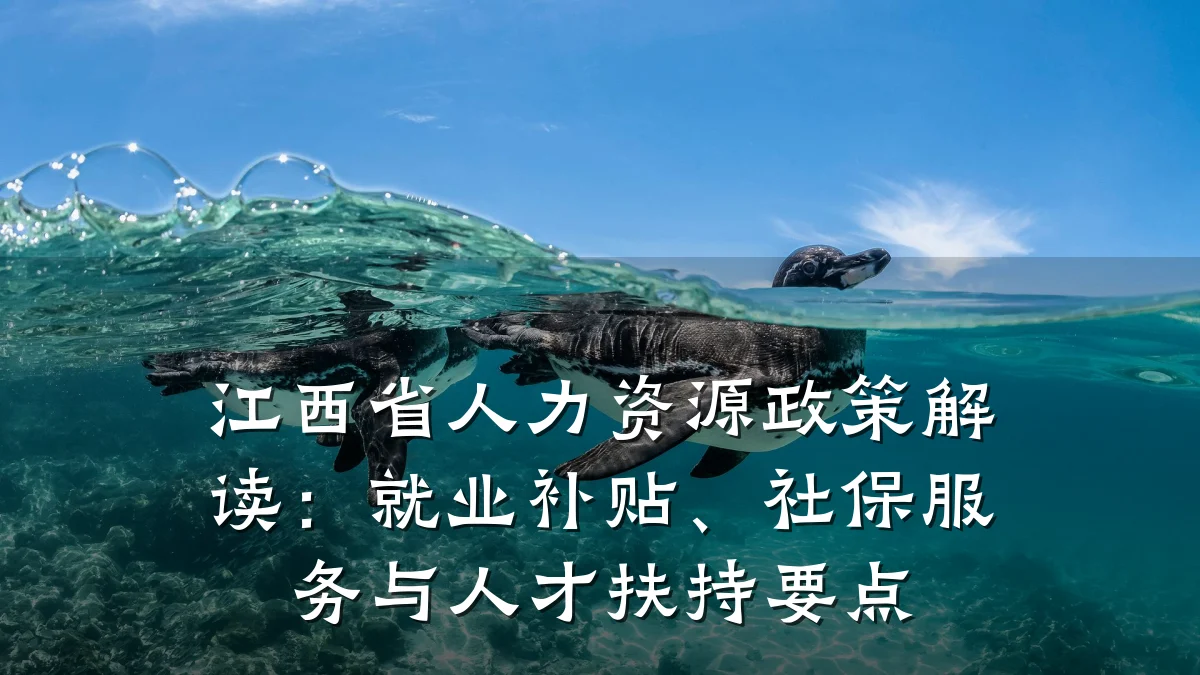 江西省人力资源政策解读:就业补贴、社保服务与人才扶持要点