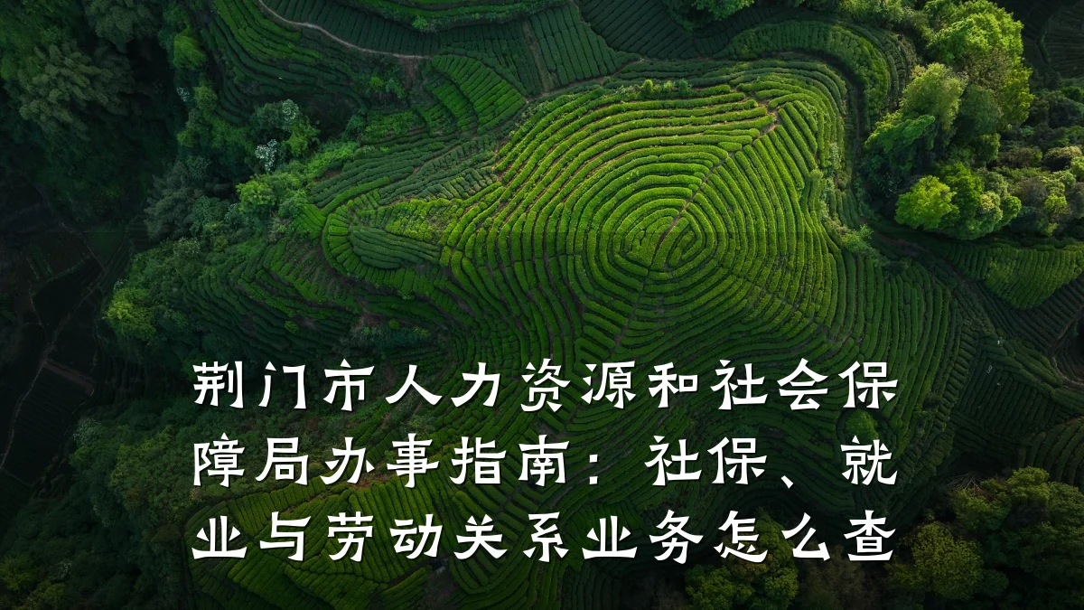 荆门市人力资源和社会保障局办事指南:社保、就业与劳动关系业务怎么查