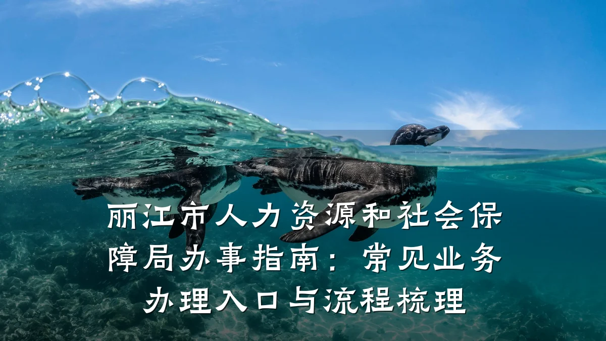 丽江市人力资源和社会保障局办事指南:常见业务办理入口与流程梳理