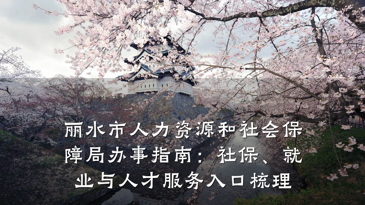 丽水市人力资源和社会保障局办事指南:社保、就业与人才服务入口梳理