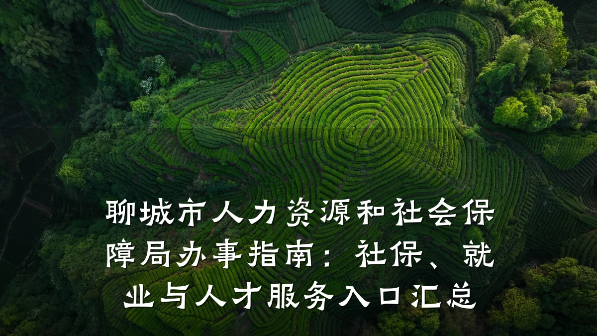 聊城市人力资源和社会保障局办事指南:社保、就业与人才服务入口汇总