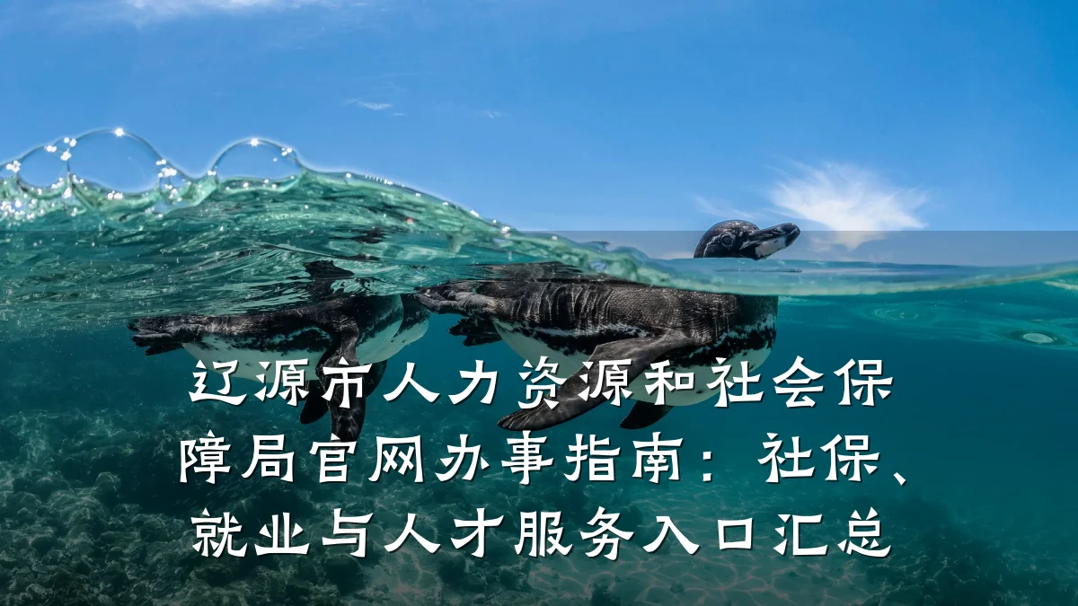 辽源市人力资源和社会保障局官网办事指南:社保、就业与人才服务入口汇总