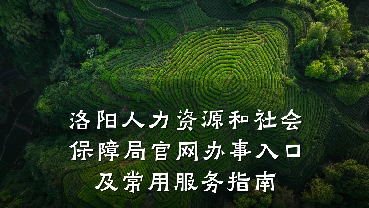 洛阳人力资源和社会保障局官网办事入口及常用服务指南