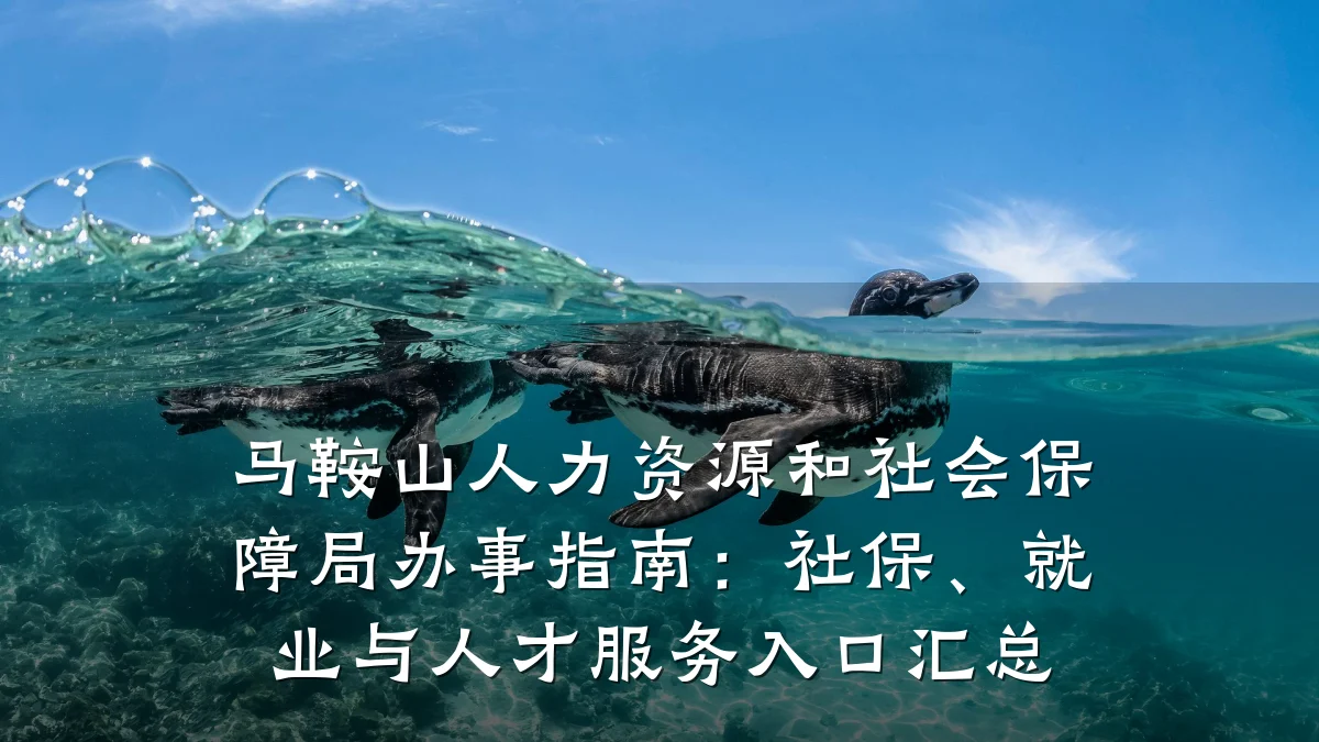 马鞍山人力资源和社会保障局办事指南:社保、就业与人才服务入口汇总