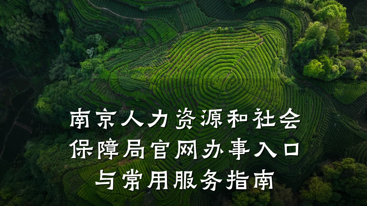 南京人力资源和社会保障局官网办事入口与常用服务指南