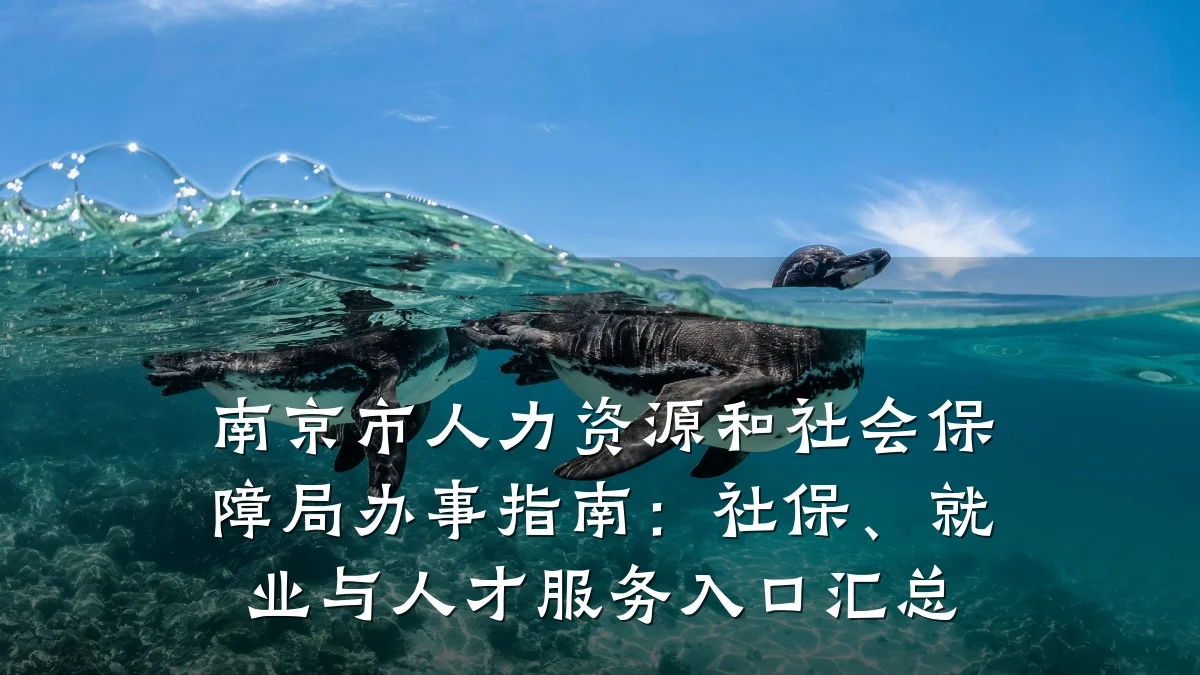 南京市人力资源和社会保障局办事指南:社保、就业与人才服务入口汇总