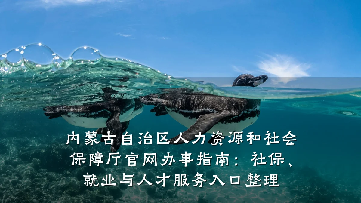 内蒙古自治区人力资源和社会保障厅官网办事指南:社保、就业与人才服务入口整理