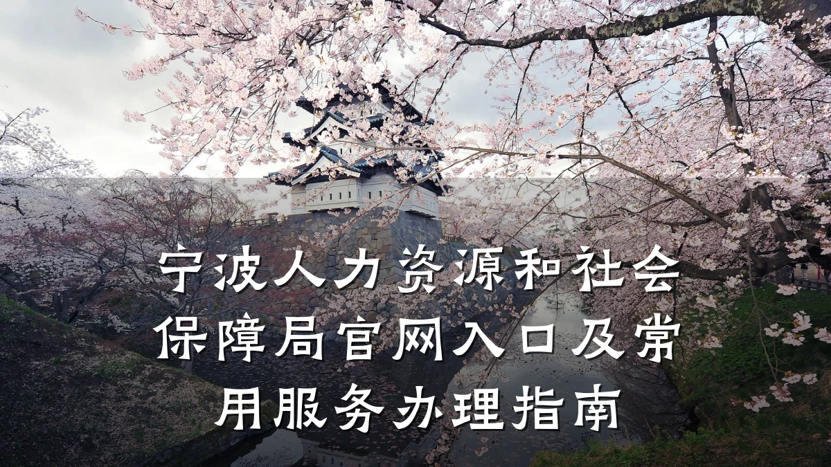 宁波人力资源和社会保障局官网入口及常用服务办理指南