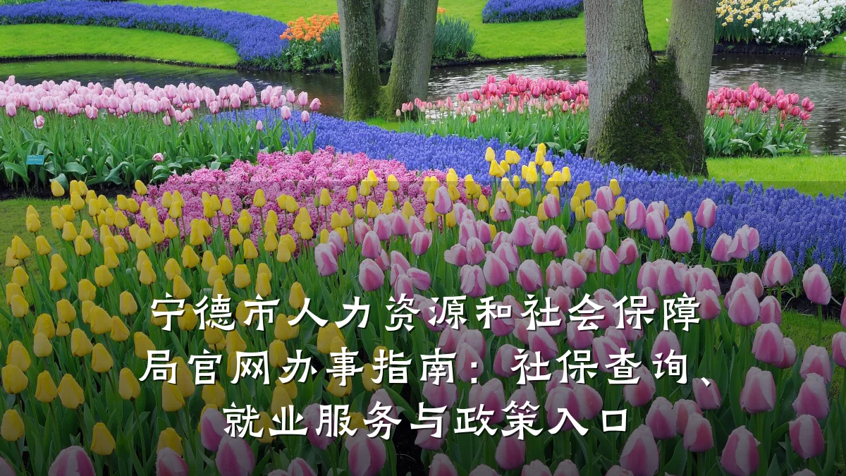 宁德市人力资源和社会保障局官网办事指南:社保查询、就业服务与政策入口